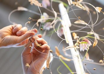 Povijesni uspeh čileansko-hrvatskog umjetnika Zvonimira Ostoica na festivalu Las Fallas