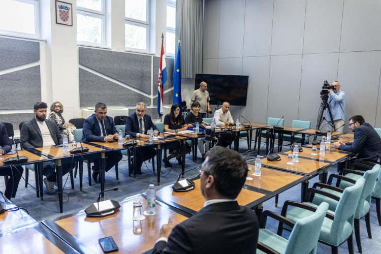Saboru skinuo imunitet SDP-ovu Piližoti zbog sumnje na nasilje u obitelji