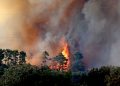 Gori na jugu Hrvatske: Požar prešao granicu, vatrogasci drže vatru podalje od kuća
