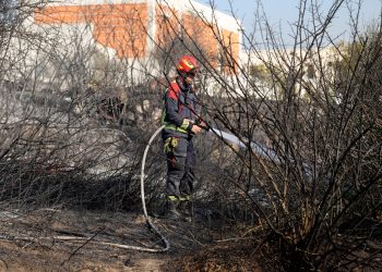 Lokaliziran Požar iznad Brbinja na Dugom otoku