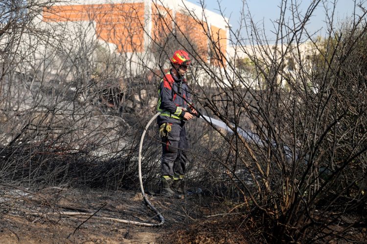 Lokaliziran Požar iznad Brbinja na Dugom otoku