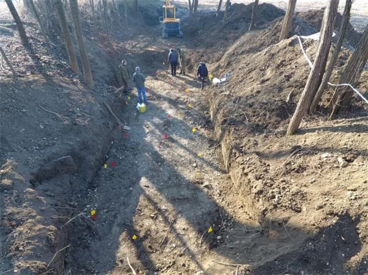 Šuma koja je morala šutjeti: Tezno kao prijelomna točka našeg pamćenja