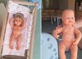 Vigilare: U novom vrtiću u Stenjevcu lutke sa “zamijenjenim” spolovilima za rodni preodgoj djece