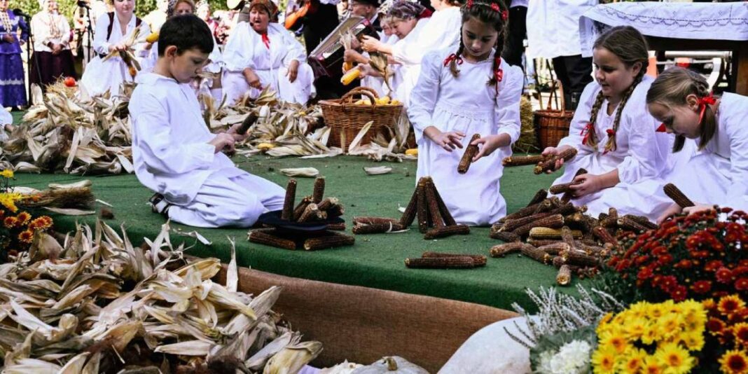 Održana 8. Velikogrđevačka komušana: Čuvanje tradicije ručnog branja i komušanja kukuruza podno Bilogore Održana 8. Velikogrđevačka komušana: Čuvanje tradicije ručnog branja i komušanja kukuruza podno Bilogore