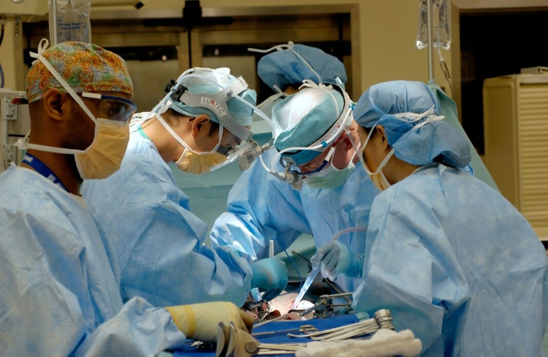 Predstojnik Mijatović uoči Europskog dana darivanja organa: Hrvatska je u svjetskom vrhu po broju transplantacija Predstojnik Mijatović uoči Europskog dana darivanja organa: Hrvatska je u svjetskom vrhu po broju transplantacija
